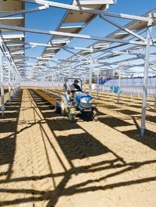 Seikatsu Club Chiba holds opening ceremony for Farm-based Solar